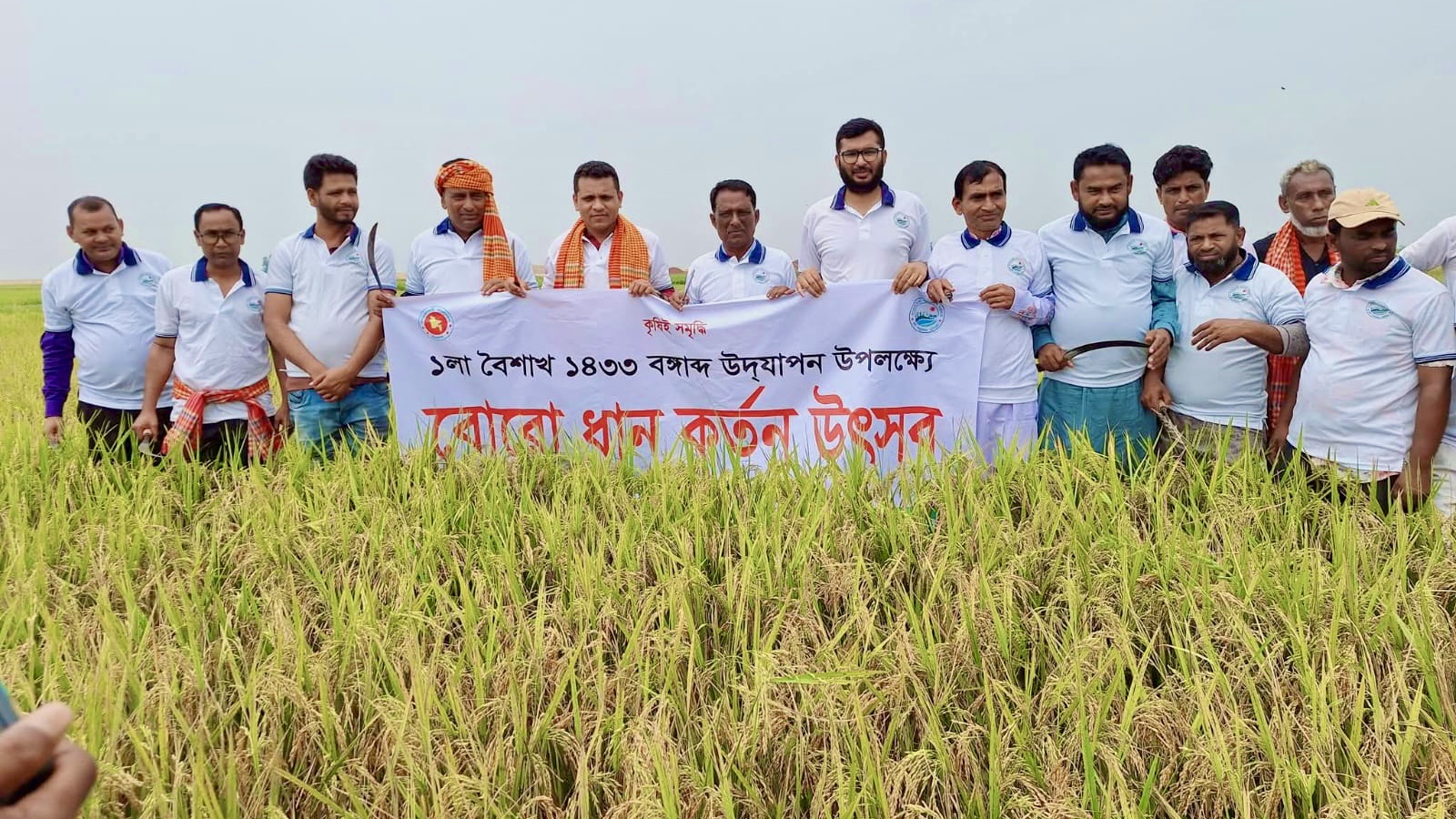 শাল্লায় উৎসবমুখর পরিবেশে বোরো ধান কাটা ও নববর্ষ উদযাপন